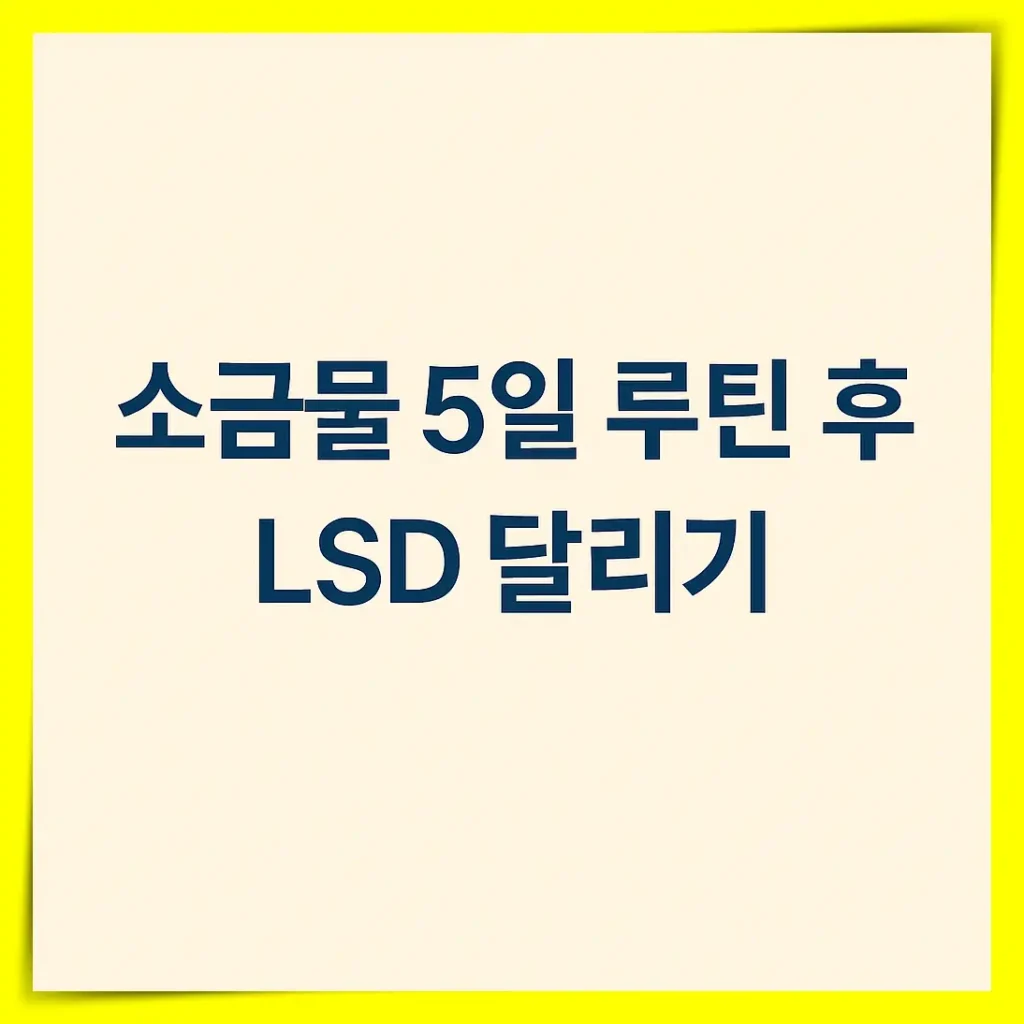 소금물 5일 5:30 페이스 LSD에서 나타난 변화